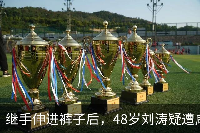 继手伸进裤子后，48岁刘涛疑遭咸猪手，全程赔笑不敢怒，多人遭殃